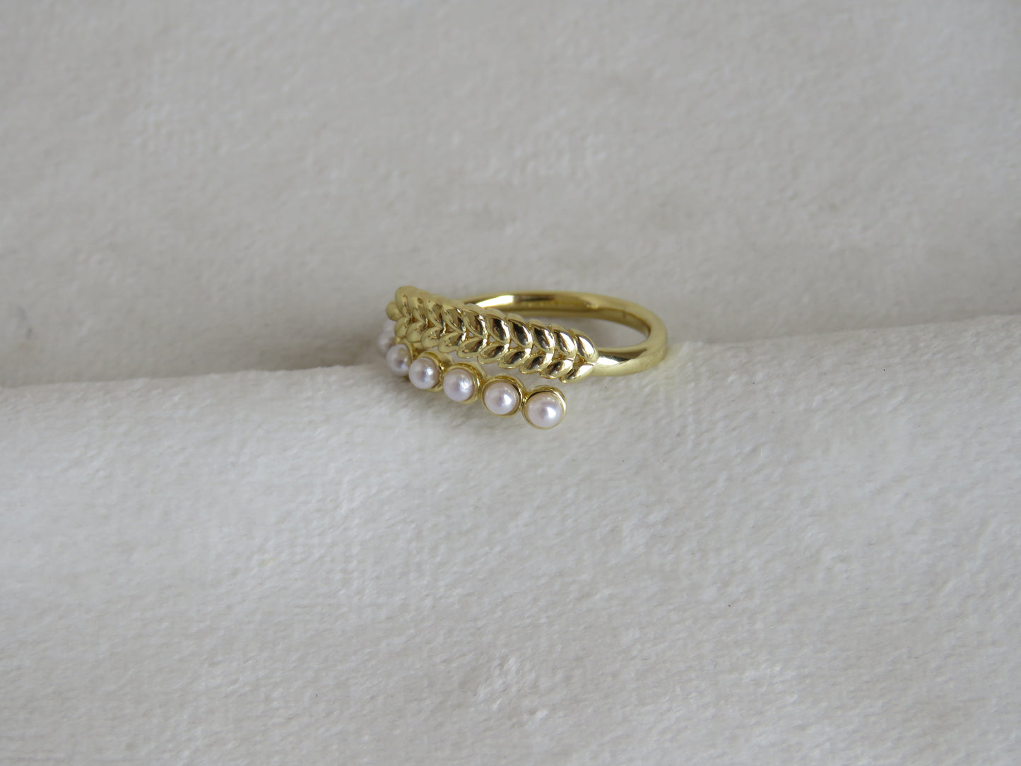 Anillo Eclipse