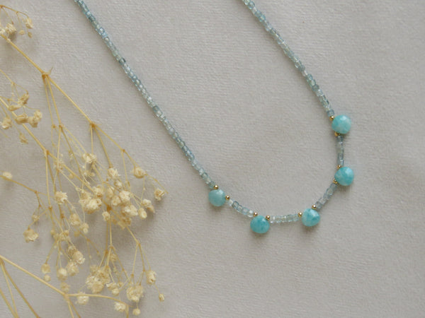 COLLARES